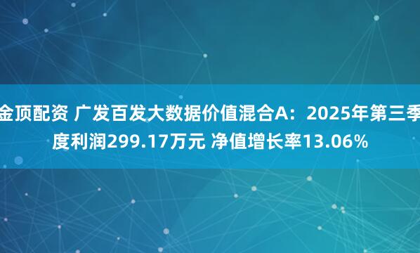 金顶配资 广发百发大数据价值混合A：2025年第三季度利润299.17万元 净值增长率13.06%