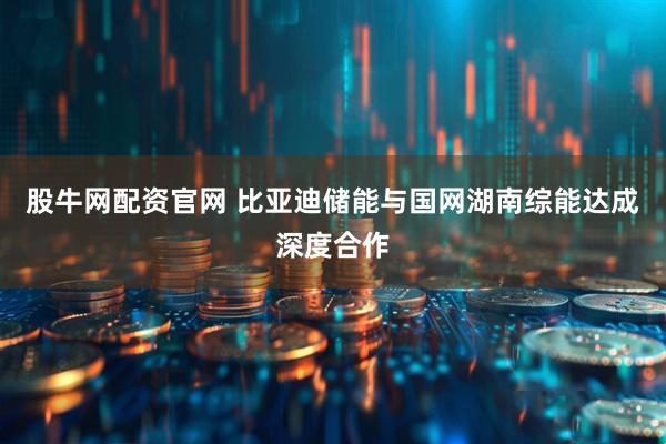 股牛网配资官网 比亚迪储能与国网湖南综能达成深度合作