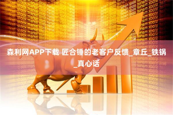 森利网APP下载 匠合锤的老客户反馈_章丘_铁锅_真心话